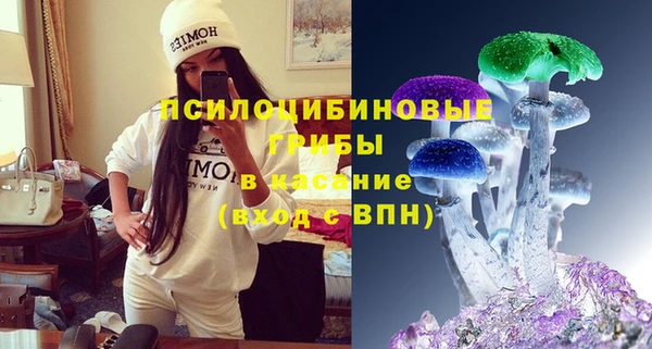 гашик Арсеньев