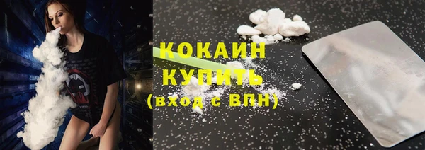 индика Армянск